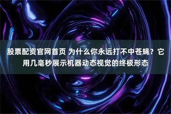 股票配资官网首页 为什么你永远打不中苍蝇？它用几毫秒展示机器动态视觉的终极形态